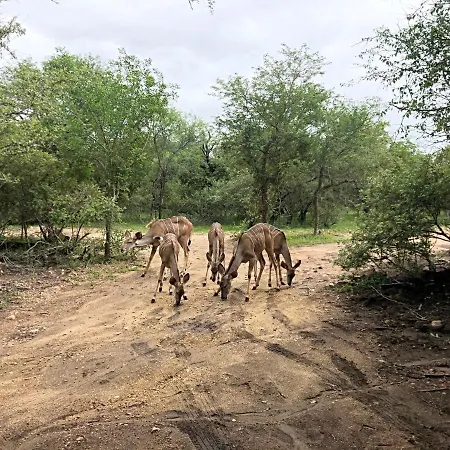 Lion Hill @Kruger Villa Marloth Park Exterior photo