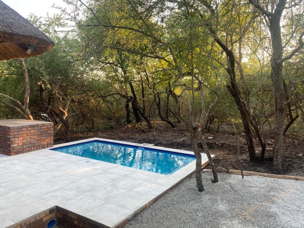Lion Hill @kruger