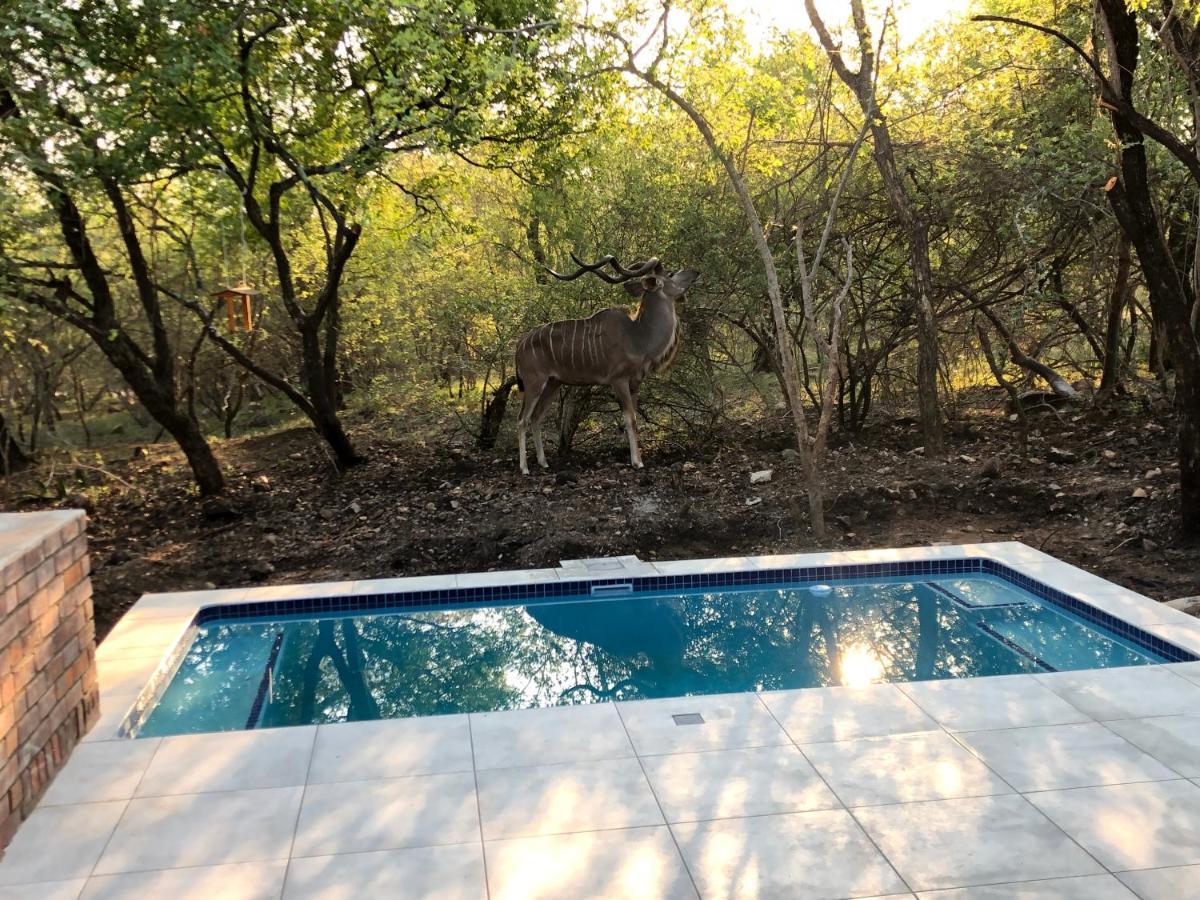 Holiday home Lion Hill @kruger *