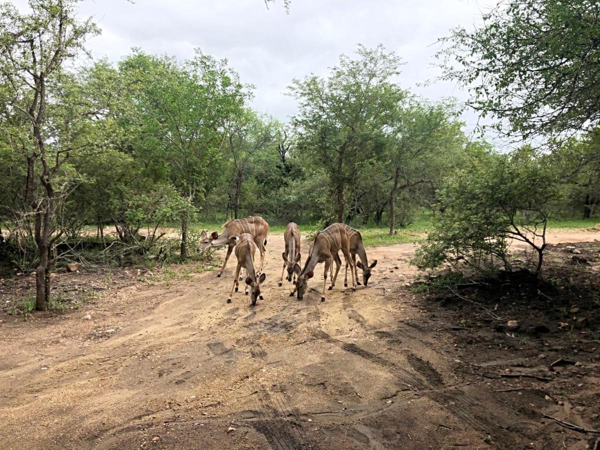 Lion Hill @kruger Holiday home *